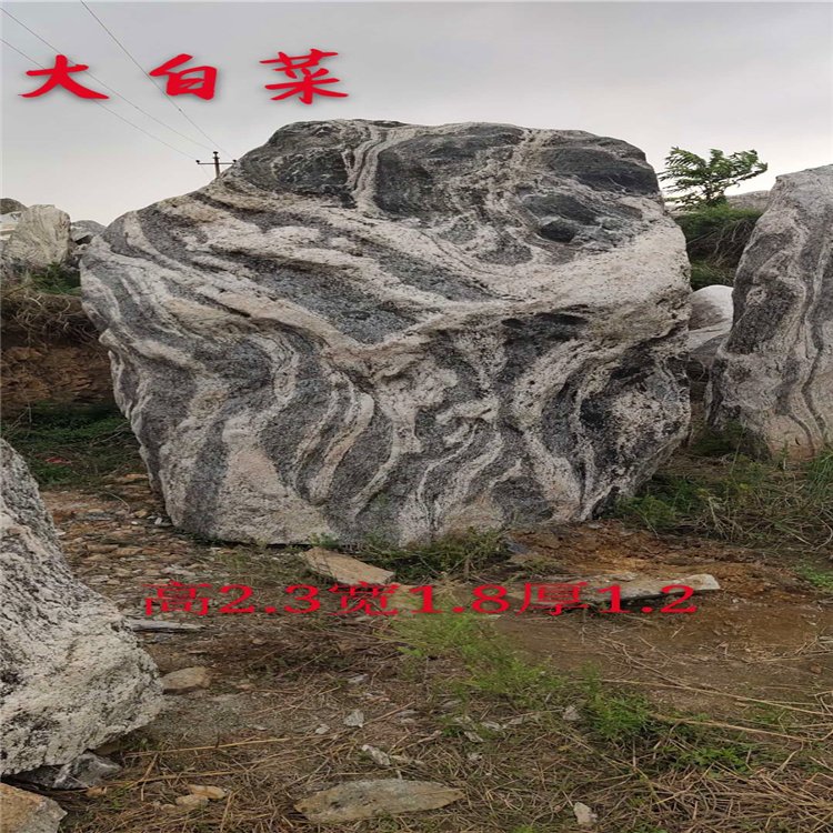 湖南小型泰山石 泰山石刻字 天然泰山石 点金园林供应