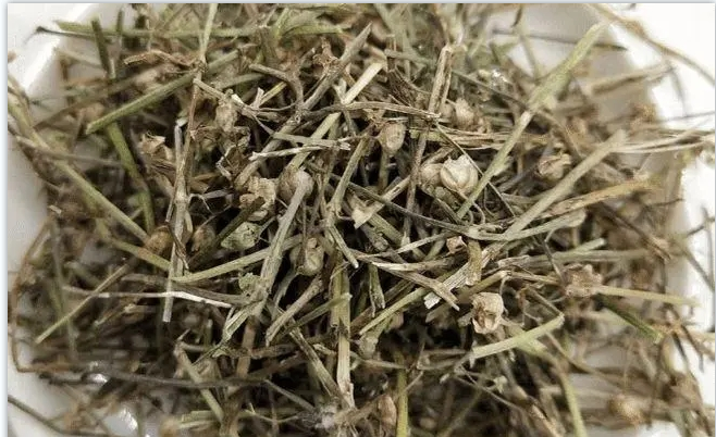 中药材批发白花蛇舌草 大量供应白花蛇舌草 白花蛇舌草大货 直销白花蛇舌草 白花蛇舌草产地