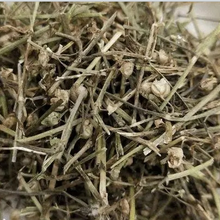 中药材批发白花蛇舌草 大量供应白花蛇舌草 白花蛇舌草大货 直销白花蛇舌草 白花蛇舌草产地