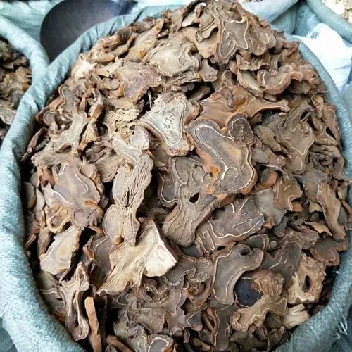 批发狗脊 大货狗脊 中药材狗脊 狗脊厂家直销 道地药材狗脊