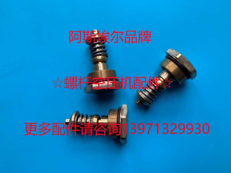 寿力空气压风机热控阀温控阀芯02250078-204 045764 02250092-081