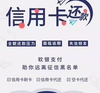 开发自己的还款系统  线上支付系统定制