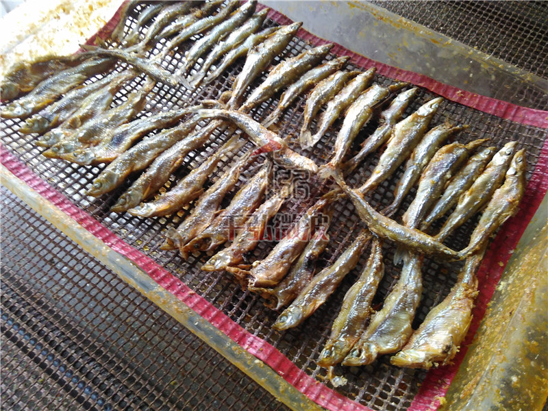 海产品微波熟化设备 小鱼微波熟化机，专业生产定制厂家