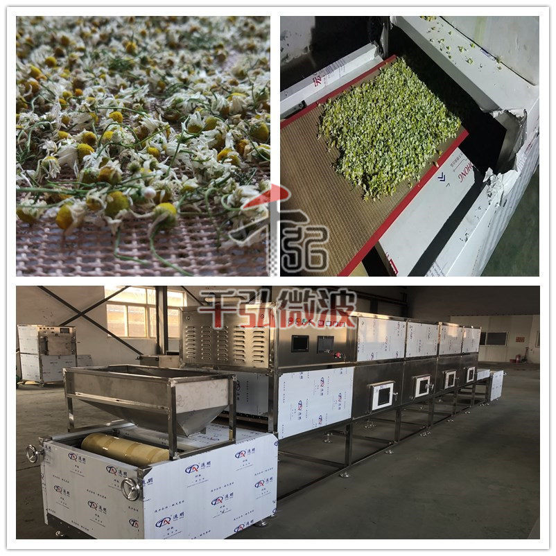千弘定制茶叶微波杀青机，杀青效果好，色泽鲜亮
