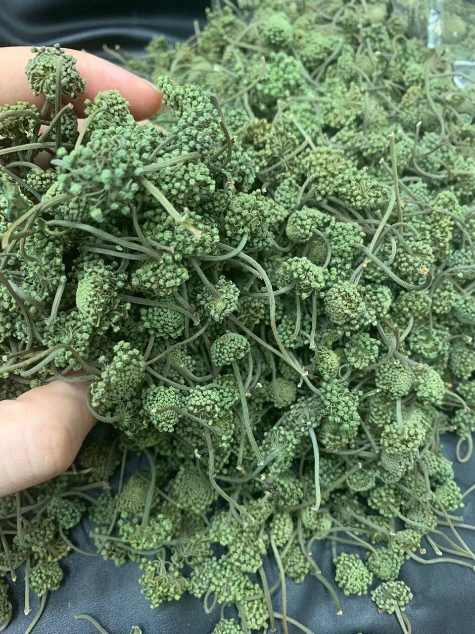 三七花大货批发 三七花中药材 三七花品质可靠