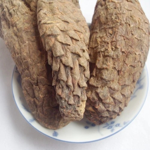 管花肉苁蓉质量保证 管花肉苁蓉价格 管花肉苁蓉批发加工