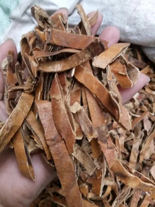 瓜蒌皮中药材批发 瓜蒌皮中药材 瓜蒌皮正宗中药材