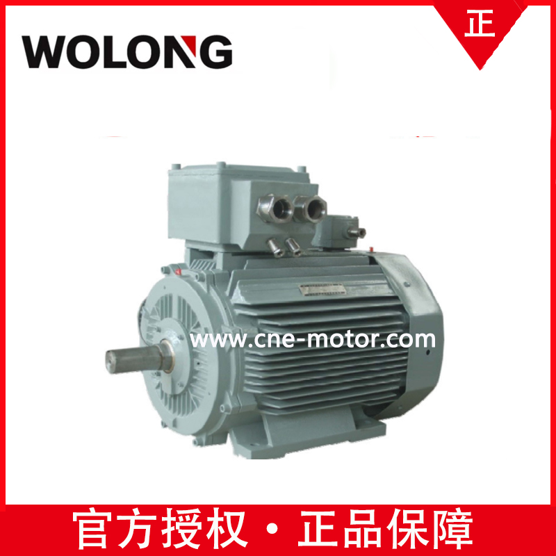 卧龙南阳电机YBBPX710-4 2000KW V1 变频调速三相异步电动机 