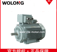 卧龙南阳电机YBBPX710-4 2000KW V1 变频调速三相异步电动机 