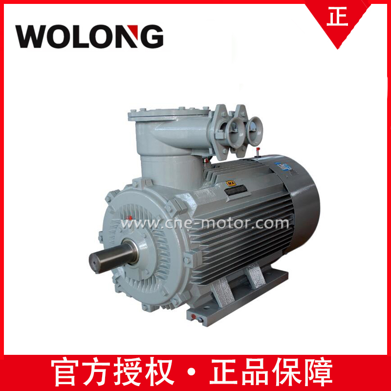 卧龙电机销售YBBPX560-4 1120KW B35 6KV 三相异步电动机品牌好 