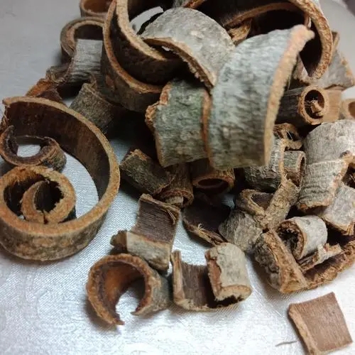 厚朴正宗中药材 厚朴供应正规 厚朴中药材