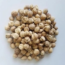 草豆蔻价格 草豆蔻供应正规 草豆蔻常年供应