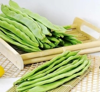 刀豆药材供应 刀豆质量保证 刀豆价格
