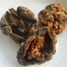 紫河车价格 紫河车品质可靠 紫河车正宗中药材