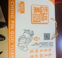 PP塑料中空格子板生产线