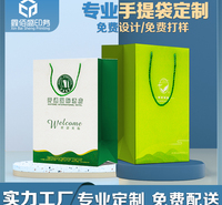 成都鑫佰盛印务 定制购物手提袋 手提纸袋定制 服装店纸袋 牛皮袋包装袋定制
