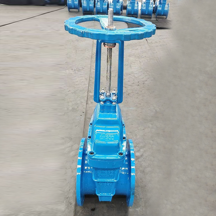 Z41X-16Q明杆软密封闸阀 定制铸铁弹性座封阀 泊兴供应