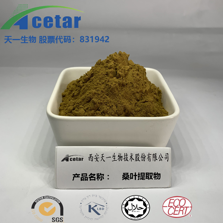 桑叶提取物 天一生物厂家热销 桑叶DNJ1% 脱氧野尻霉素 量大优惠
