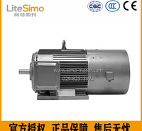 陕西利特西玛YVFE3-200L2-2 37KW V1 额定转矩117.8 