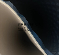 FORBO西格林SIEGLING输送带龙带PU/PVC/尼龙橡胶平皮带
