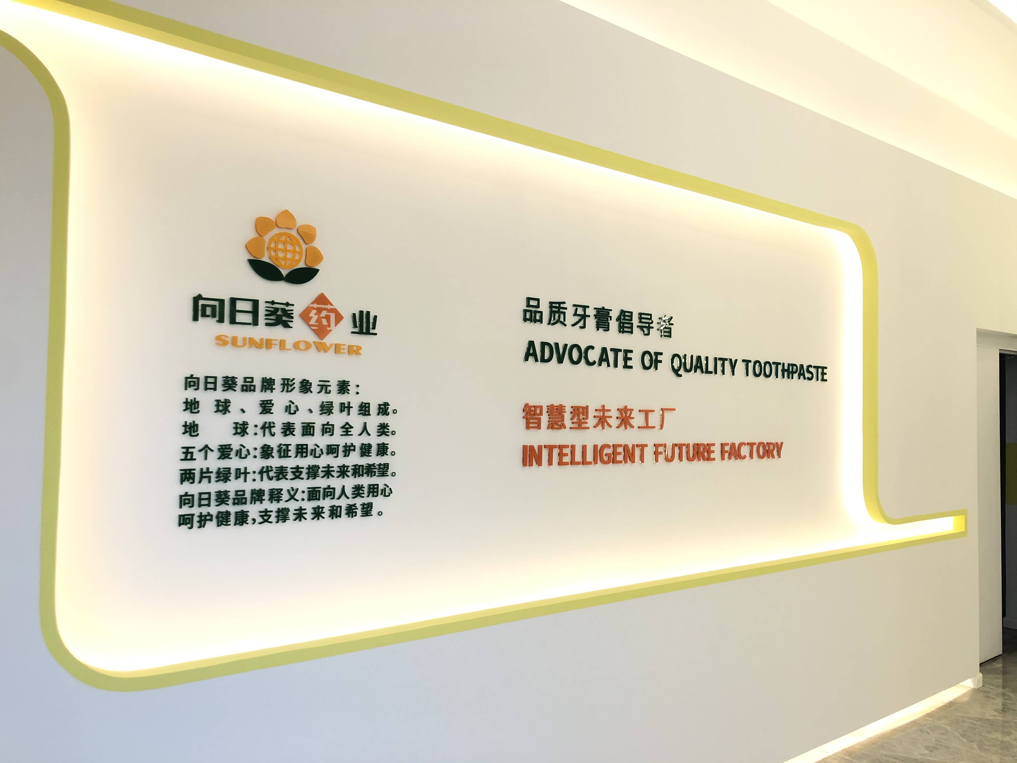 南京向日葵药业有限公司 主营产品