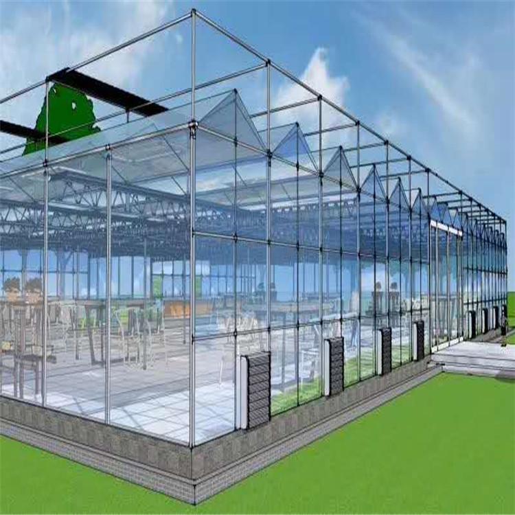 玻璃价格 2021 种植用薄膜温室大棚 薄膜温室建造