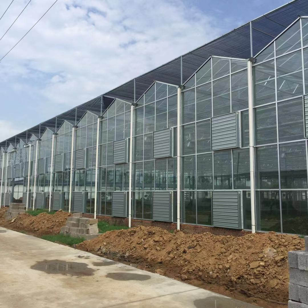 智能玻璃温室 半地下日光温室大棚 农业玻璃温室价格 龙玺温室