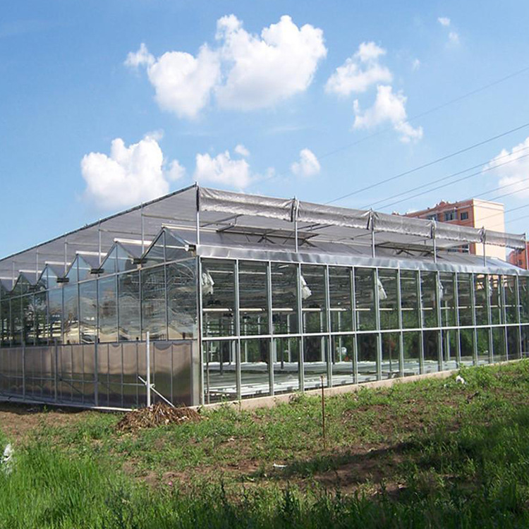 半地下日光温室 大棚日光温室育苗种植蔬菜大棚 几字钢日光温室