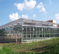 半地下日光温室 大棚日光温室育苗种植蔬菜大棚 几字钢日光温室