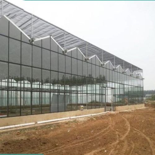 连栋温室承接 连栋薄膜温室建造 几字钢日光温室