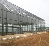 连栋温室承接 连栋薄膜温室建造 几字钢日光温室