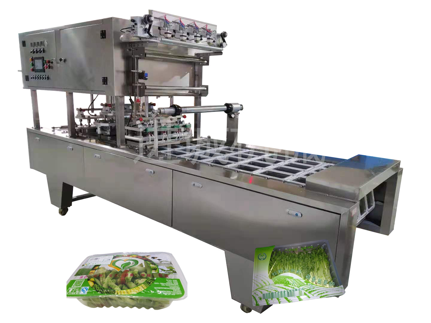 盒装蔬菜真空包装封口机 食品充气体保鲜气调包装机 净菜蔬果封口机