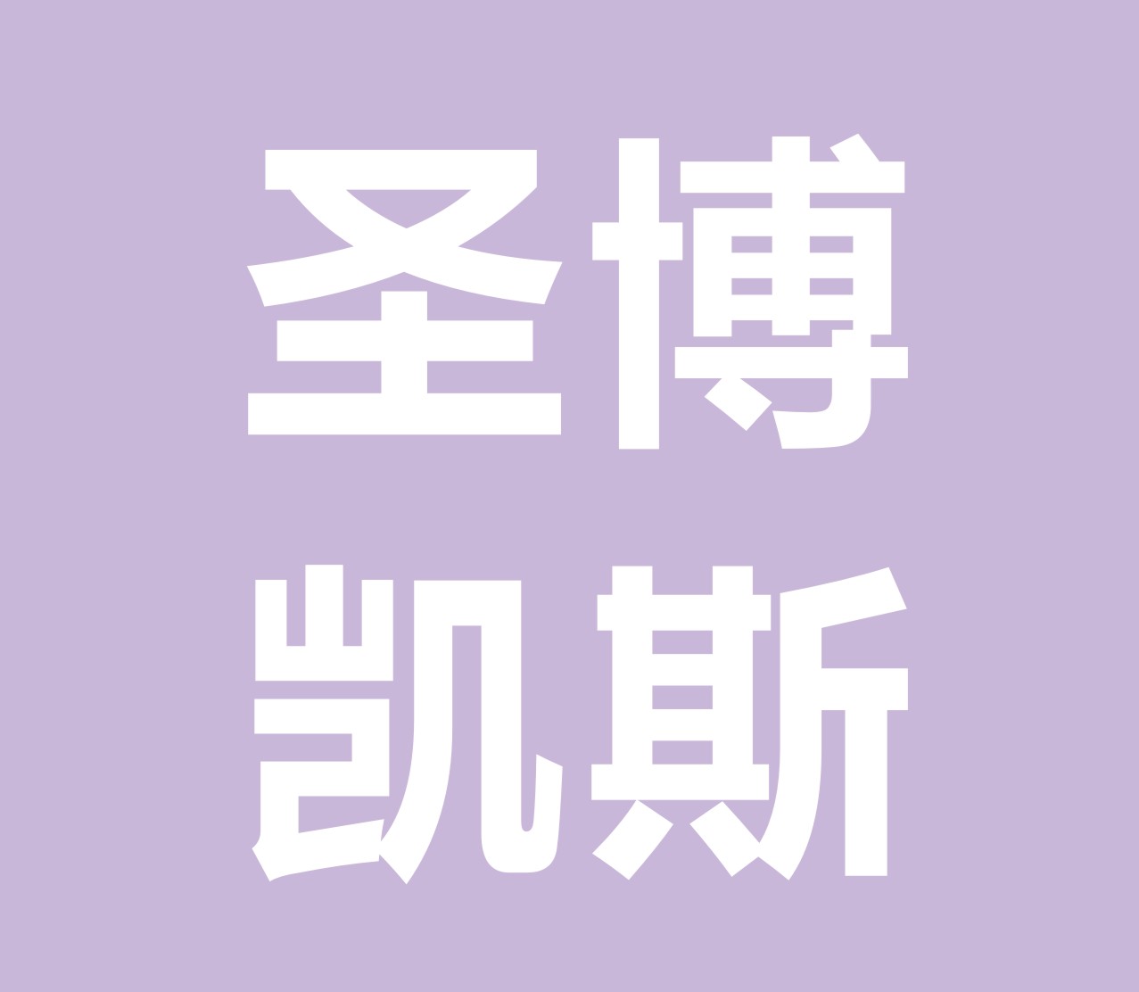 圣博凯斯（湖南）成套设备有限公司 标志