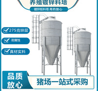 料塔热镀锌自动供料塔产床料线猪场养殖设备现代化养殖设备料罐仓