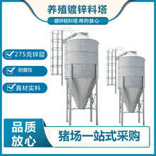 料塔热镀锌自动供料塔产床料线猪场养殖设备现代化养殖设备料罐仓