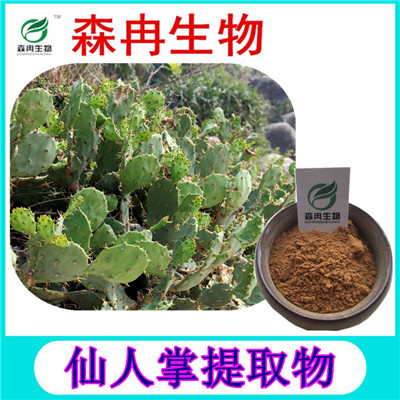 森冉生物 仙人掌提取物 仙巴掌提取物 植物提取原料粉