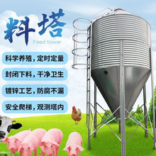 现货销售自动养殖饲料料塔猪用镀锌板饲料塔养殖饲料线规格齐全