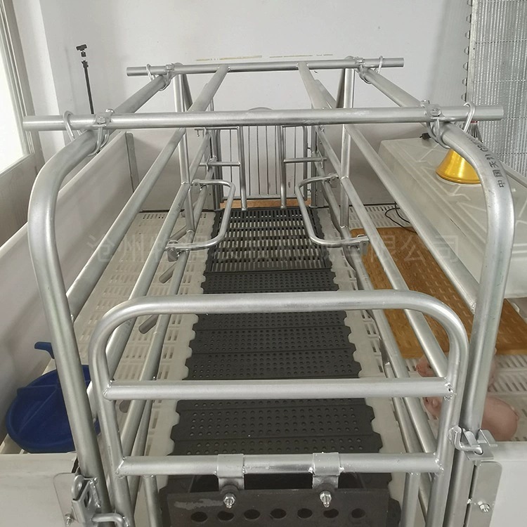 产保两用保育床 复合板猪用分娩妊娠养猪设备 母猪复合单体产床  
