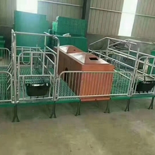 落地式仔猪分娩床定位栏限位栏母猪产床保育两用单体双体产床