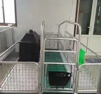 落地式仔猪分娩床定位栏限位栏母猪产床保育两用单体双体产床