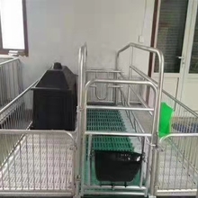 落地式仔猪分娩床定位栏限位栏母猪产床保育两用单体双体产床