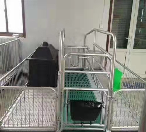 定制产保两用保育床复合板猪用分娩妊娠养猪设备母猪复合单体产床