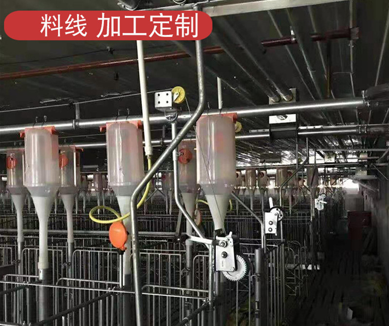 畜禽养殖设备料线主机料塔 智能养猪设备操作简单 猪场饲料塔