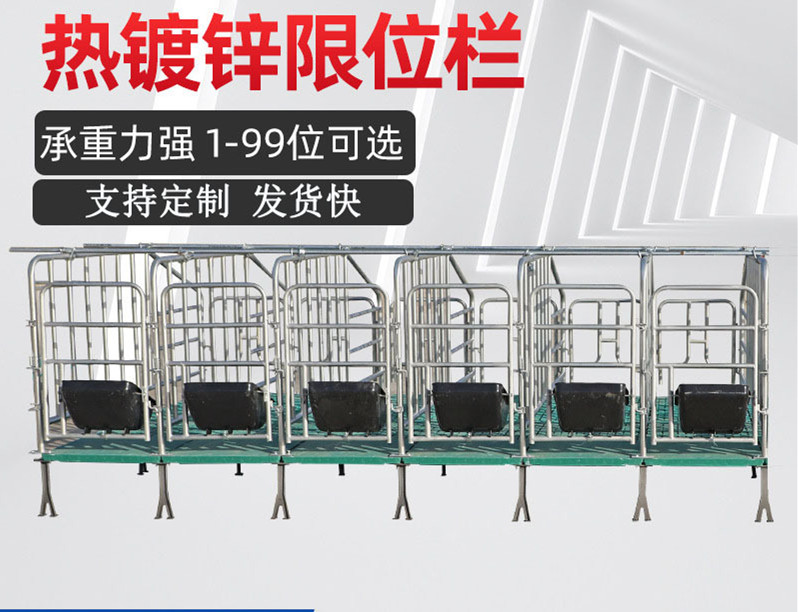 厂家生产自动化养猪设备 肥猪定位栏 母猪产床 猪用保育床