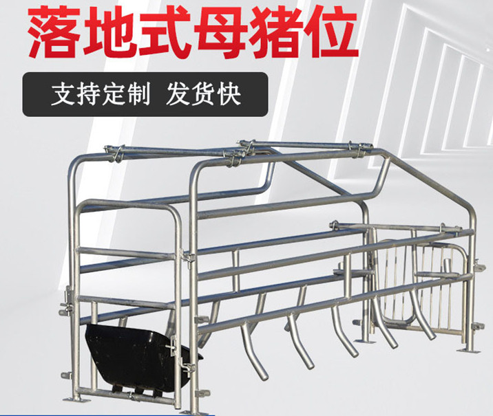 全复合产保两用母猪产床 复合漏粪板母猪产床欧式 养殖设备