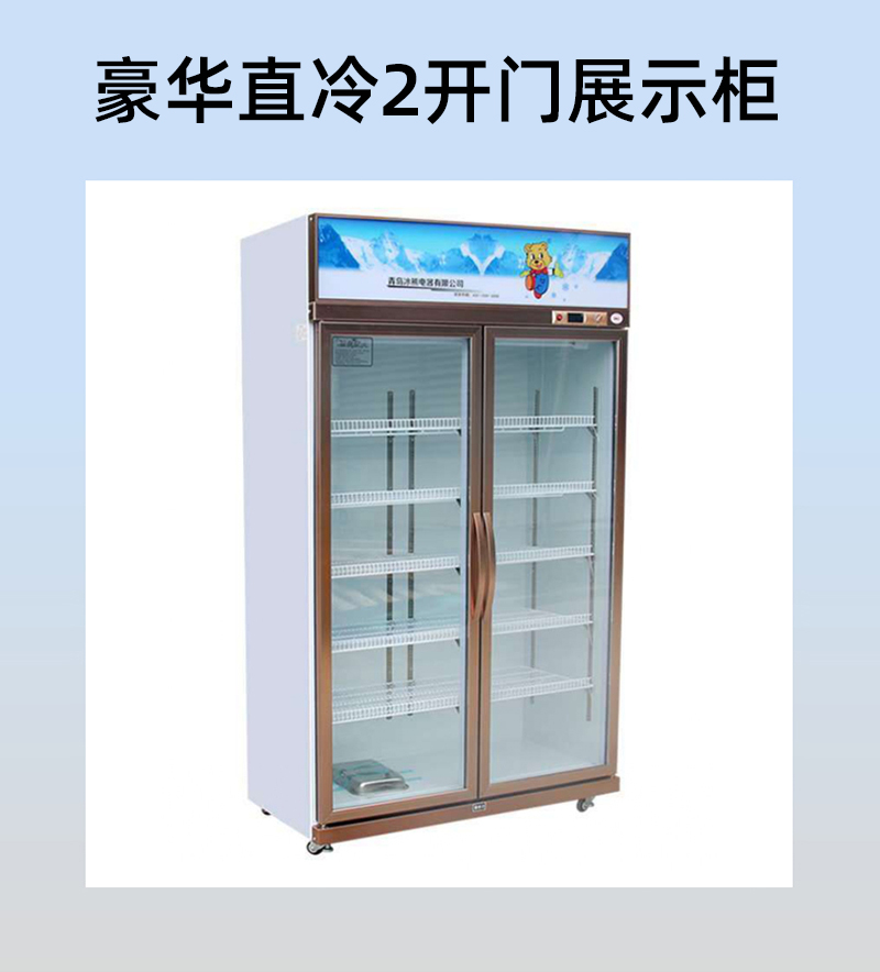 888双门直冷 青岛冰熊  展示柜哪家好 西安展示柜冷藏柜 冰箱冰柜1200*600*2100