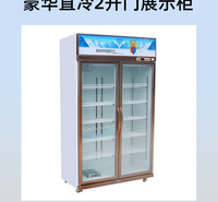 888双门直冷 青岛冰熊  展示柜哪家好 西安展示柜冷藏柜 冰箱冰柜1200*600*2100
