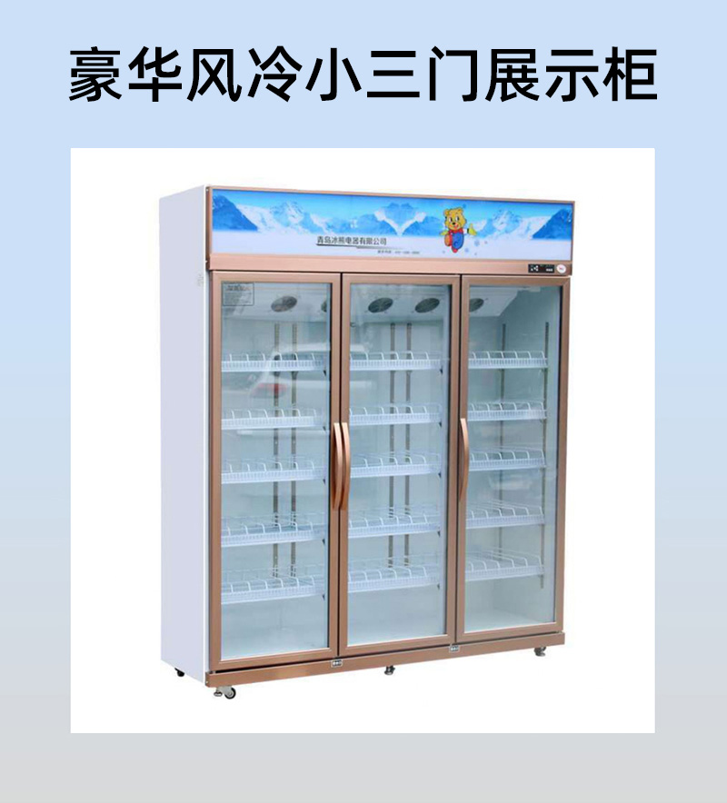 西安风冷展示柜厂家 青岛冰熊电器 1088风冷展示柜 超大直冷空间 展示柜价格