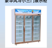 西安风冷展示柜厂家 青岛冰熊电器 1088风冷展示柜 超大直冷空间 展示柜价格