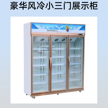 西安风冷展示柜厂家 青岛冰熊电器 1088风冷展示柜 超大直冷空间 展示柜价格